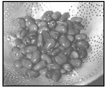 Fava beans resemble large brown kidney beans. While fava beans may be unfamiliar to many North Americans, they are widely available, canned, in supermarkets. EPD Photos
